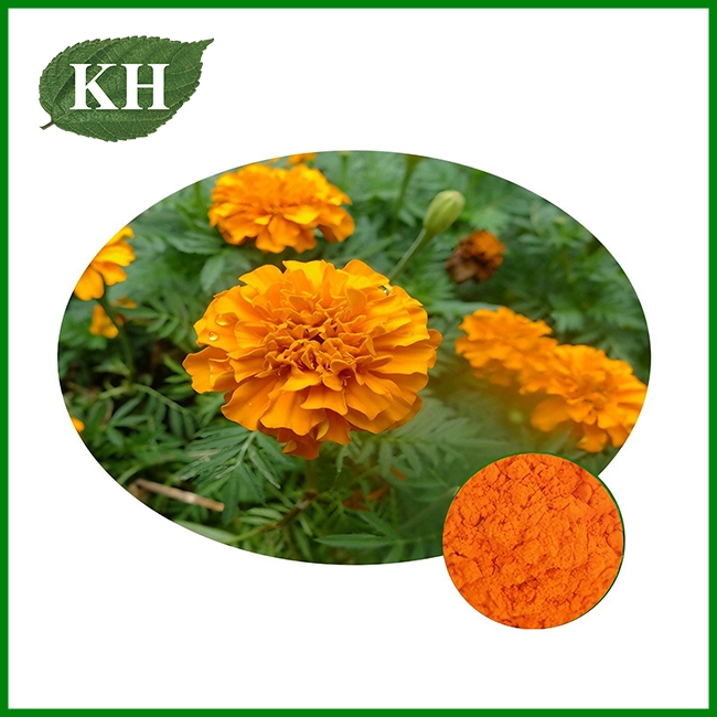 Marigold Root Extract - Nematicide